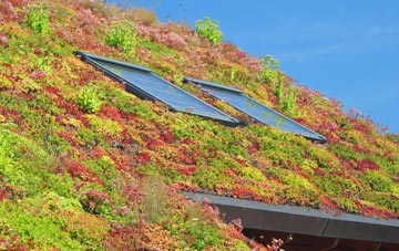 Broadland Row living roof systems